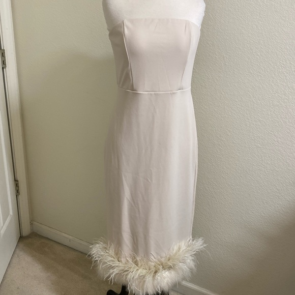Express Sleeveless Nude Tube Dress, Feather Detailing medium - Picture 1 of 6